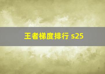 王者梯度排行 s25